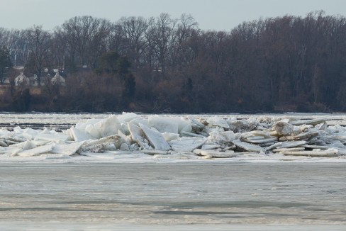 Sheets of Ice On The Elk River Channel Edges
