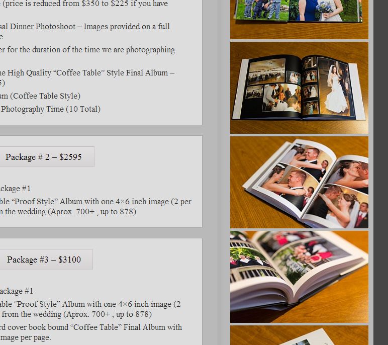 Wedding Album Sample Images On Pricing Page