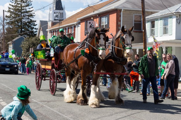 Clydesdales at the Chesapeake City St. Patrick's Day Parade 2014-13